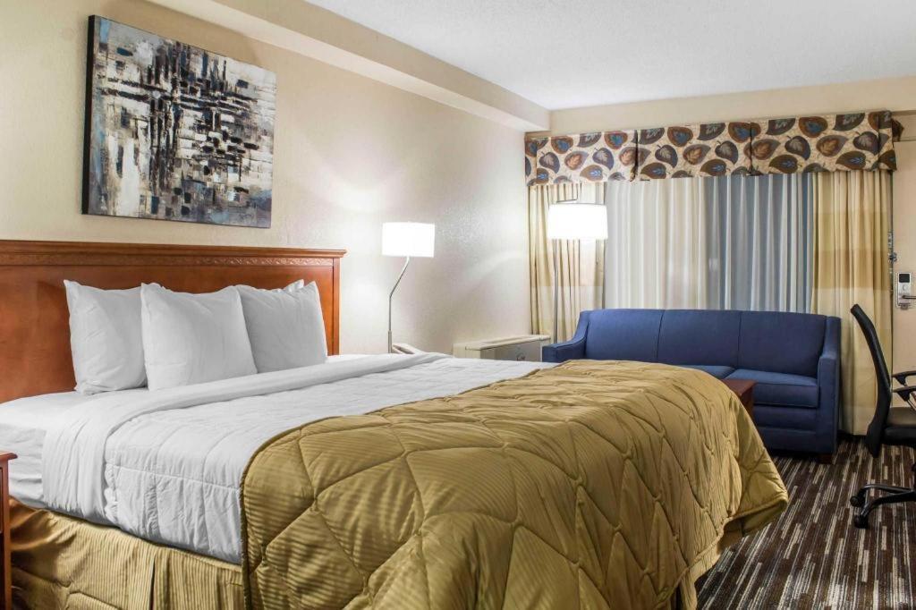 Lifestyle Hotel