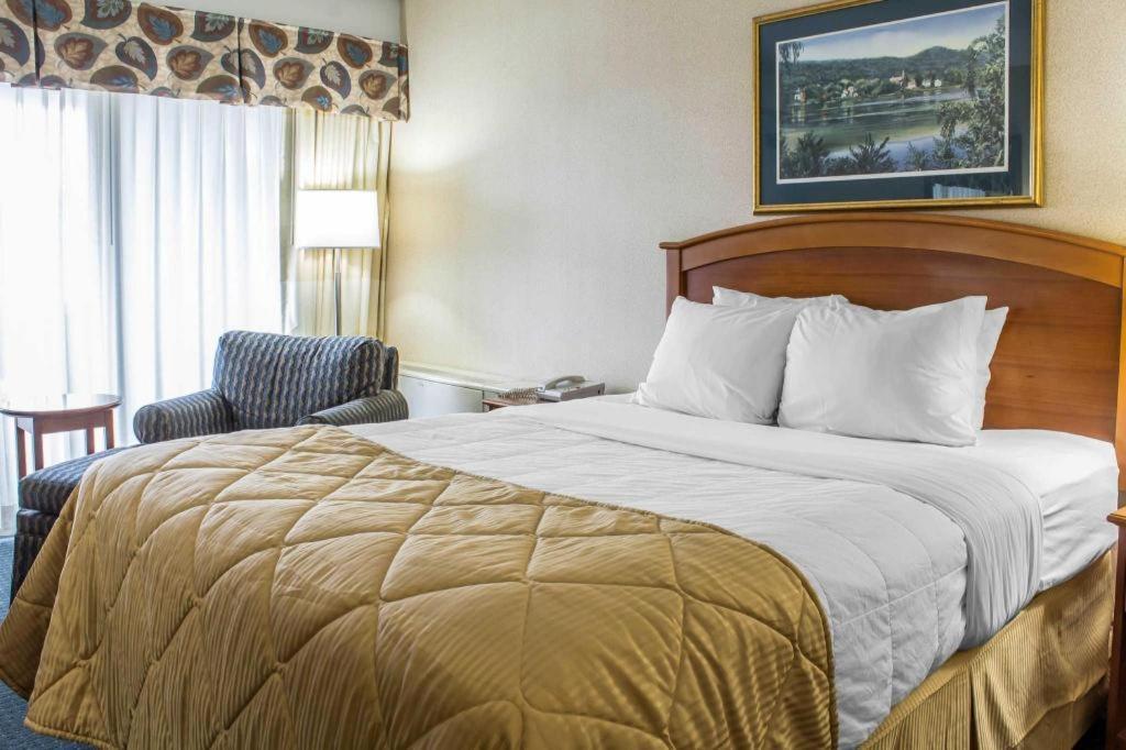 Lifestyle Hotel