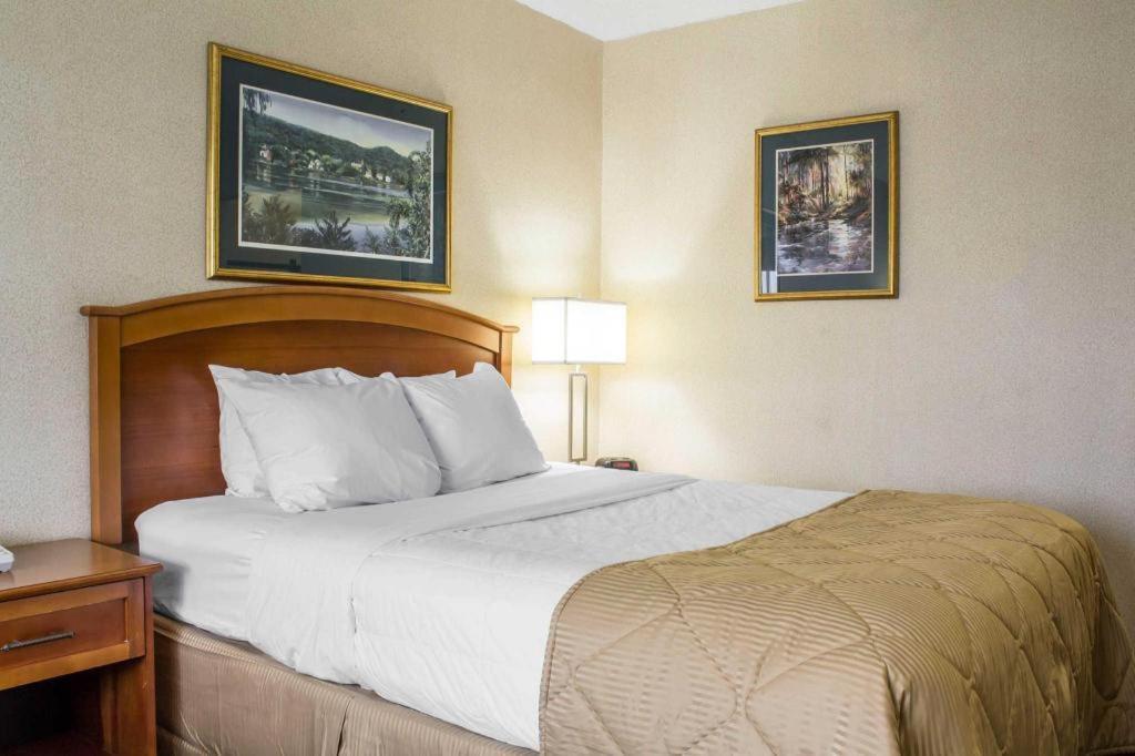 Lifestyle Hotel Cedar Falls