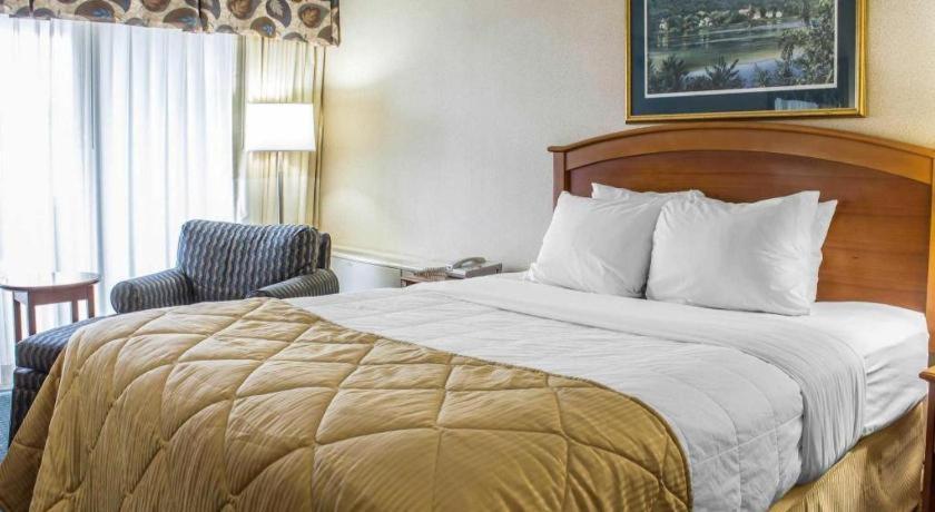 Hotel Lifestyle
