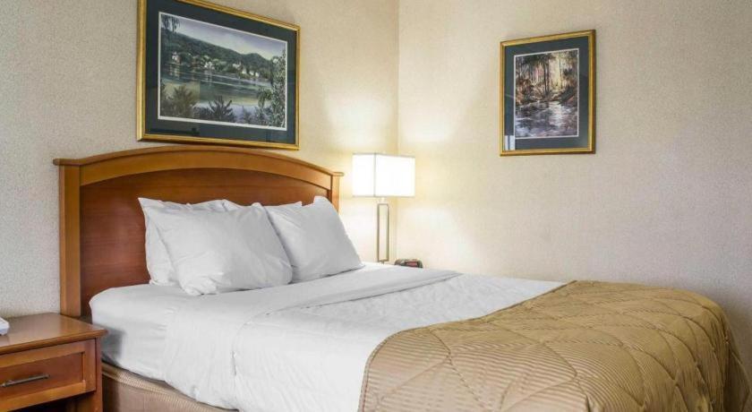 Hotel Lifestyle