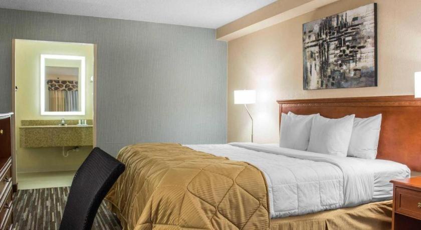 Lifestyle Cedar Falls